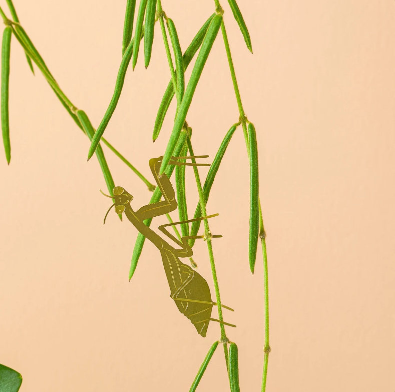 Plant Animal decorations