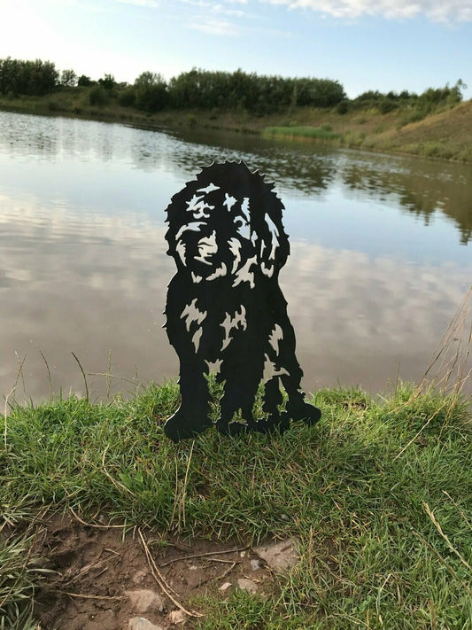 Cockapoo Metal Dog