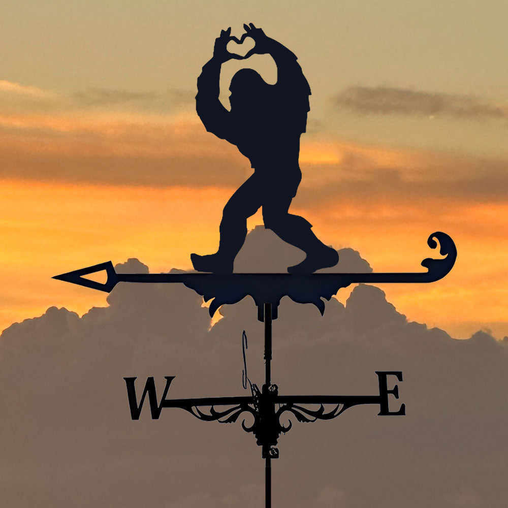 🔥Last Day 50% OFF🔥 Stainless Steel Weathervane