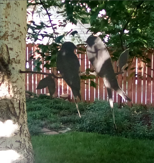 Barn swallows (Love birds) metal tree art