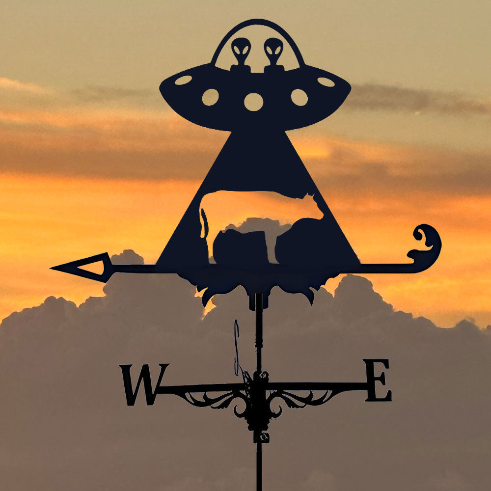 🔥Last Day 50% OFF🔥 Stainless Steel Weathervane