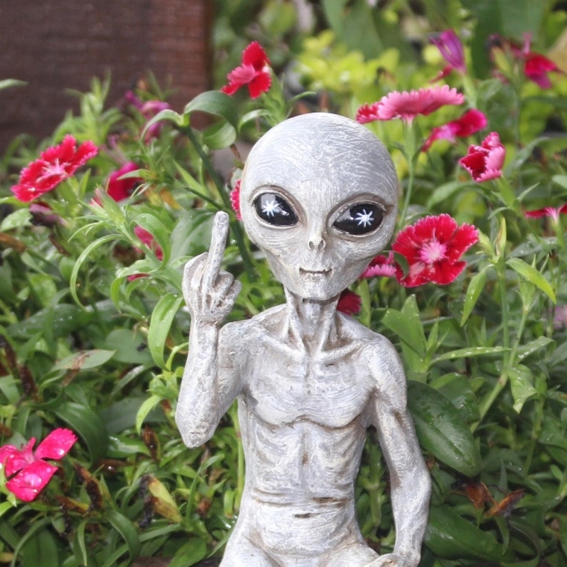 👽Rude Alien Statue