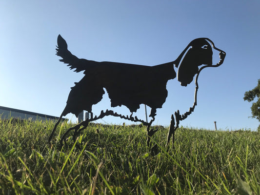 English Springer Spaniel