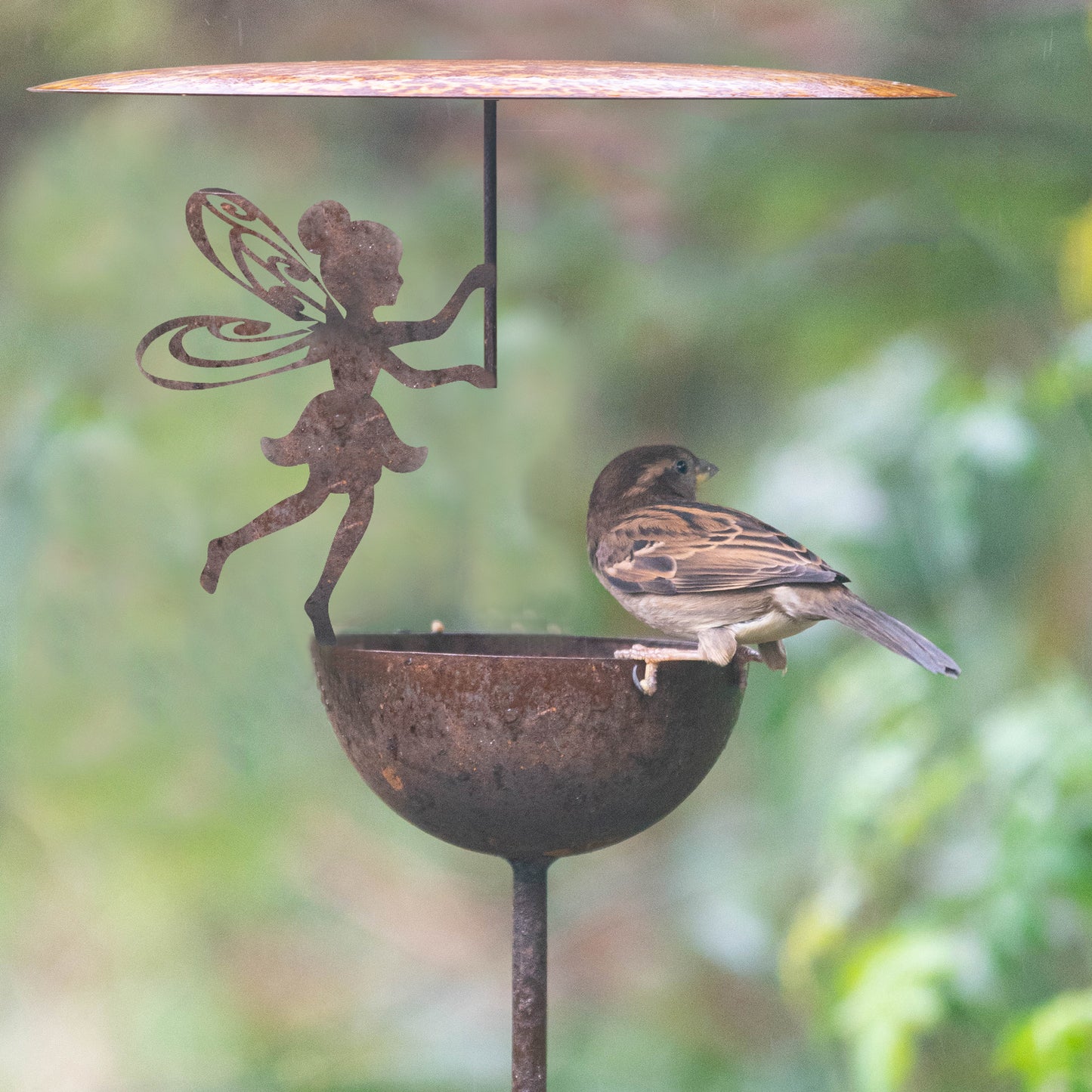 Rain Catcher Bird Bowl Water Catcher Bird Bath