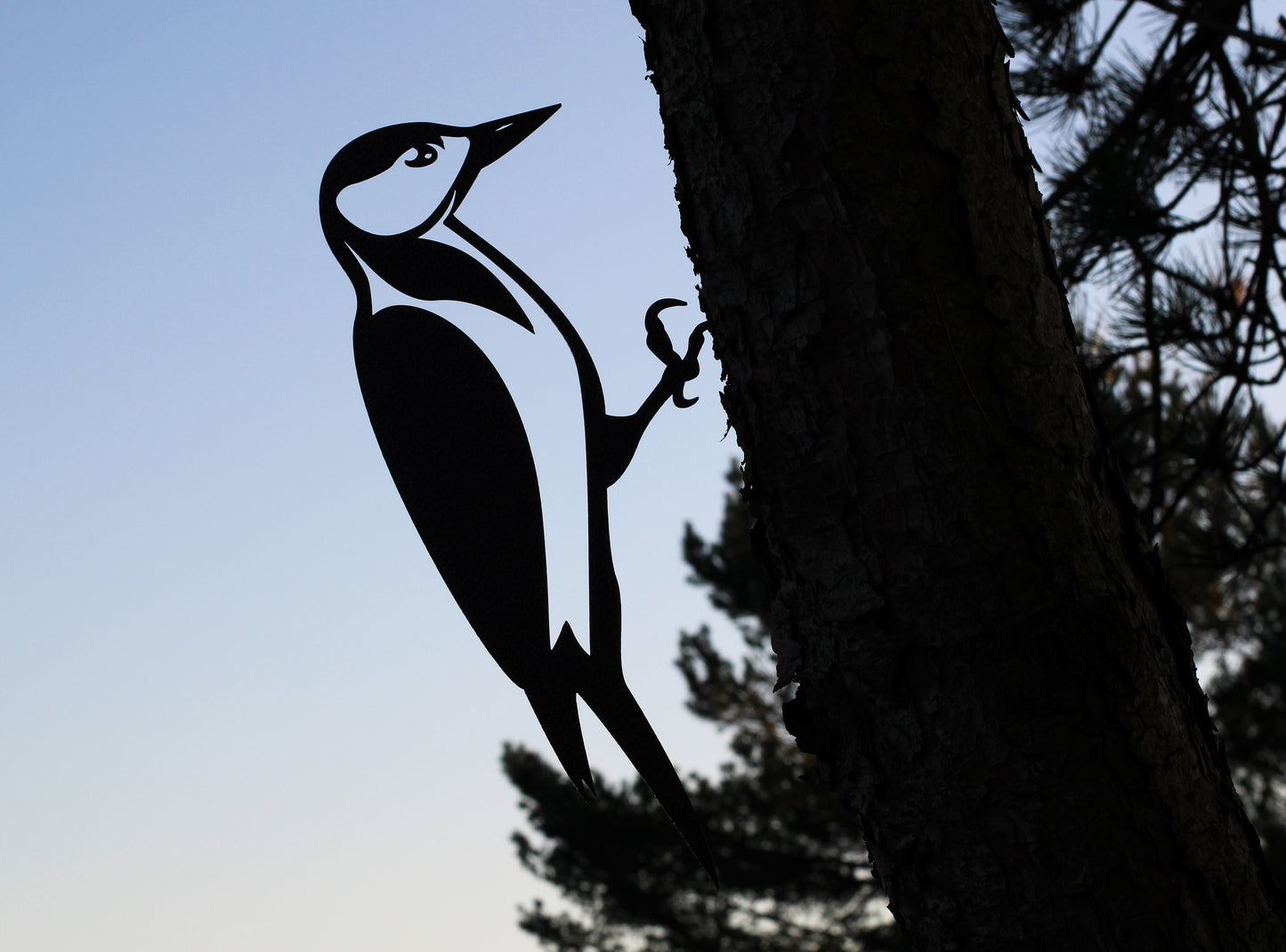 Woodpecker bird tree art